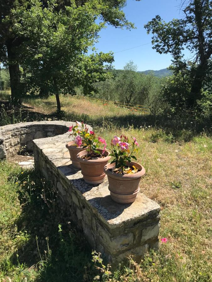 Casanova Di Ricavo Gaiole in Chianti Exterior foto
