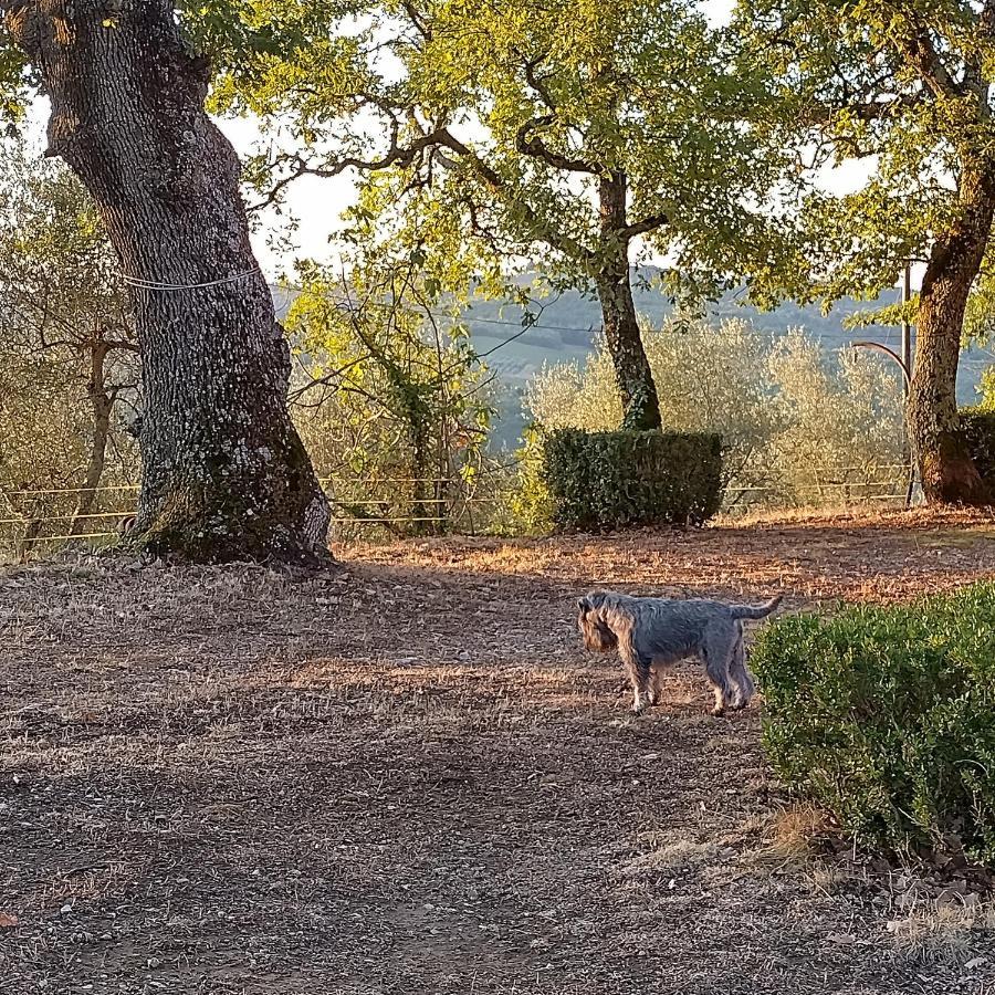Casanova Di Ricavo Gaiole in Chianti Exterior foto