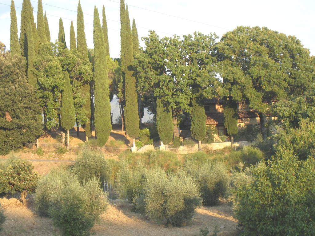 Casanova Di Ricavo Gaiole in Chianti Exterior foto